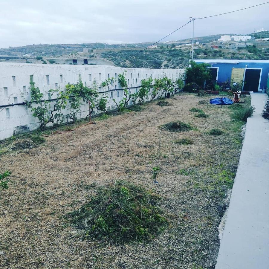 Yurta De Arico Arico Viejo Exterior foto